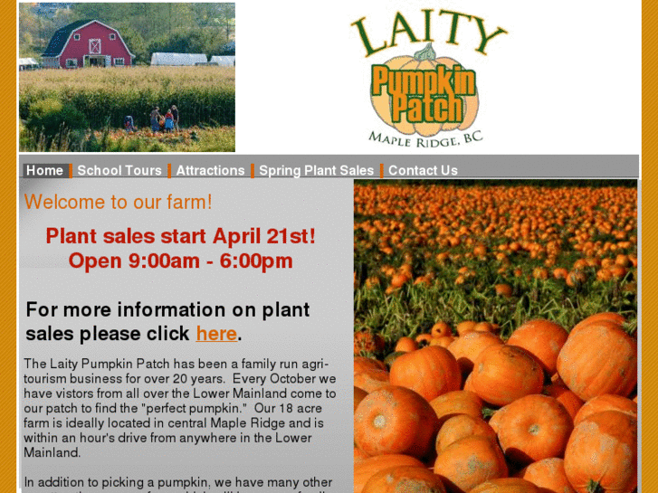 www.laitypumpkinpatch.com