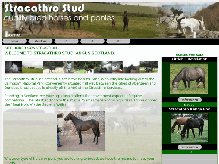 www.stracathrostud.com