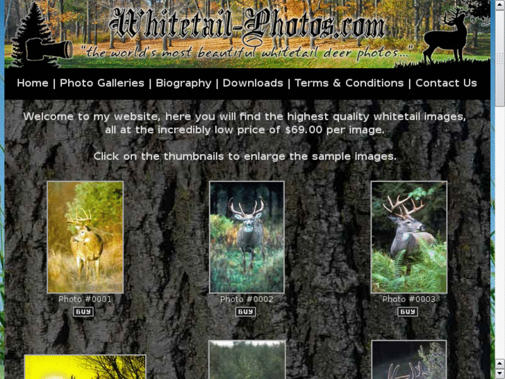 www.whitetailphoto.com