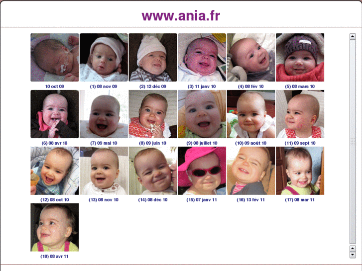 www.ania.fr