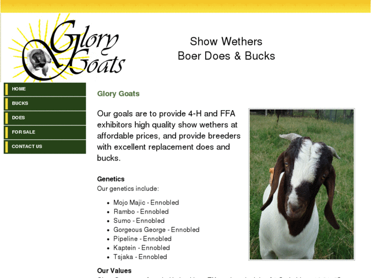 www.glorygoats.com