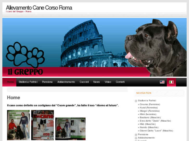 www.icorsidelgreppo.com