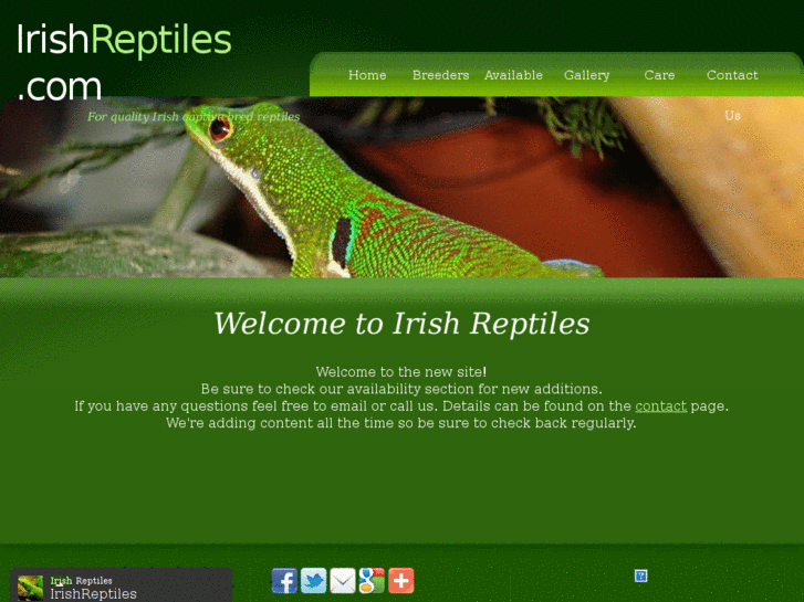 www.irishreptiles.com