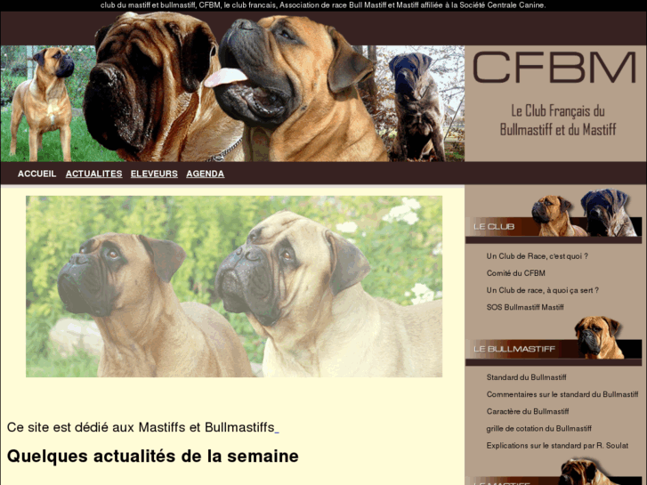 www.mastiff-bullmastiff.com