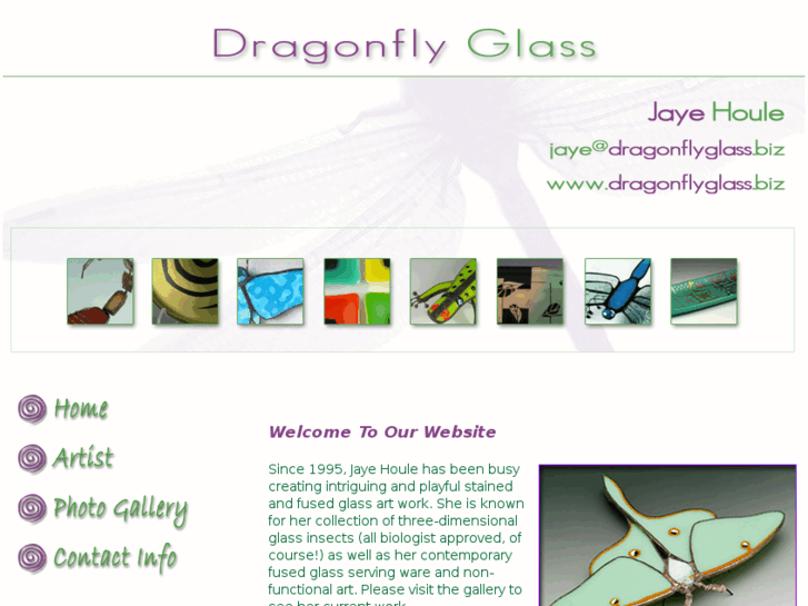 www.dragonflyglass.biz