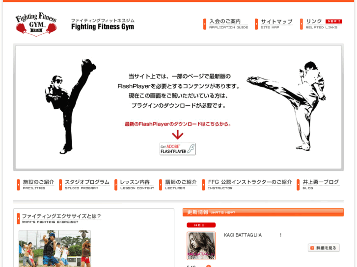 www.fightinggym.com