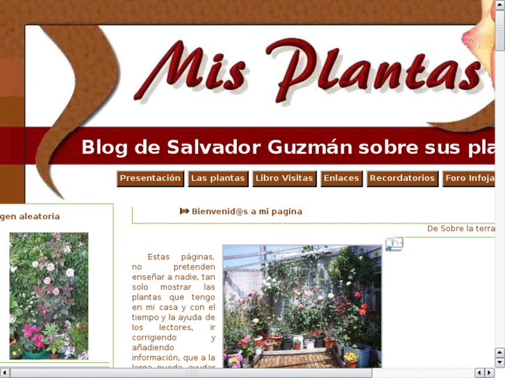 www.misplantas.es