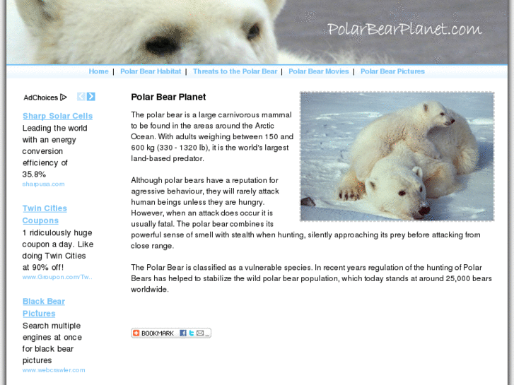 www.polarbearplanet.com