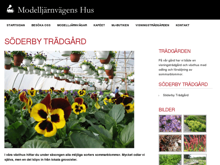 www.soderbytradgard.se