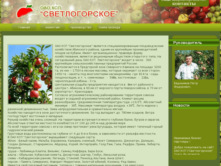 www.svetlogorskoe.com