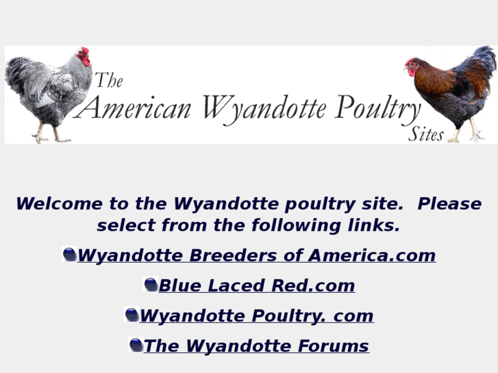 www.wyandottepoultry.com