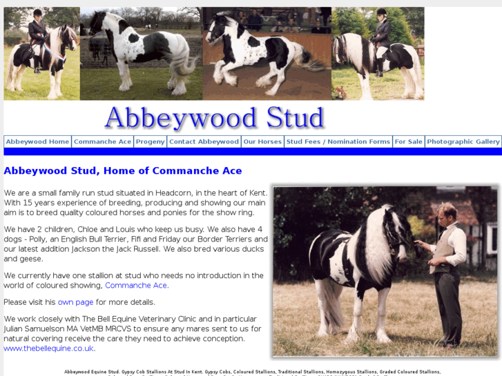 www.abbeywoodstud.co.uk