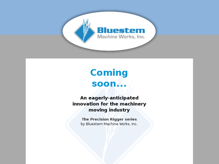 www.bluesteminc.com