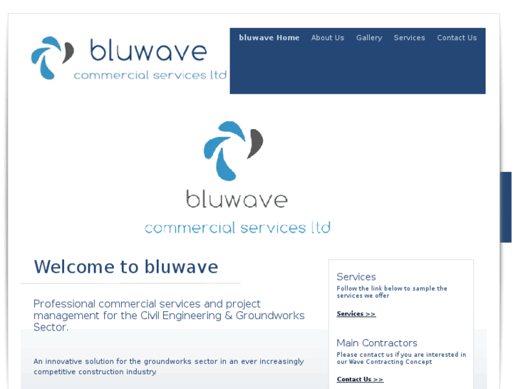 www.bluwavegroup.com