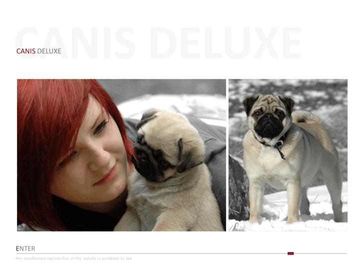 www.canis-deluxe.com