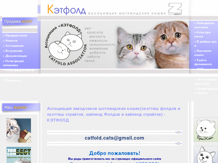 www.catfold.ru