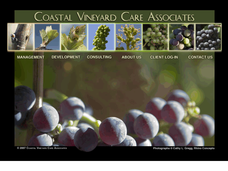 www.coastalvineyardcare.com