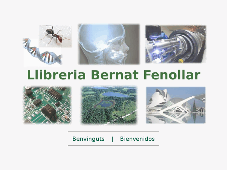 www.llibreriabernat.com