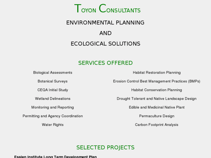 www.toyonconsultants.com