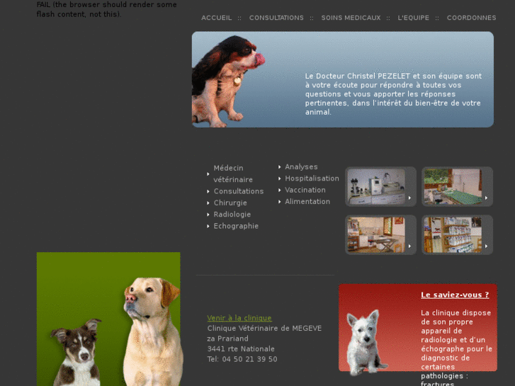 www.cliniqueveterinairemegeve.com