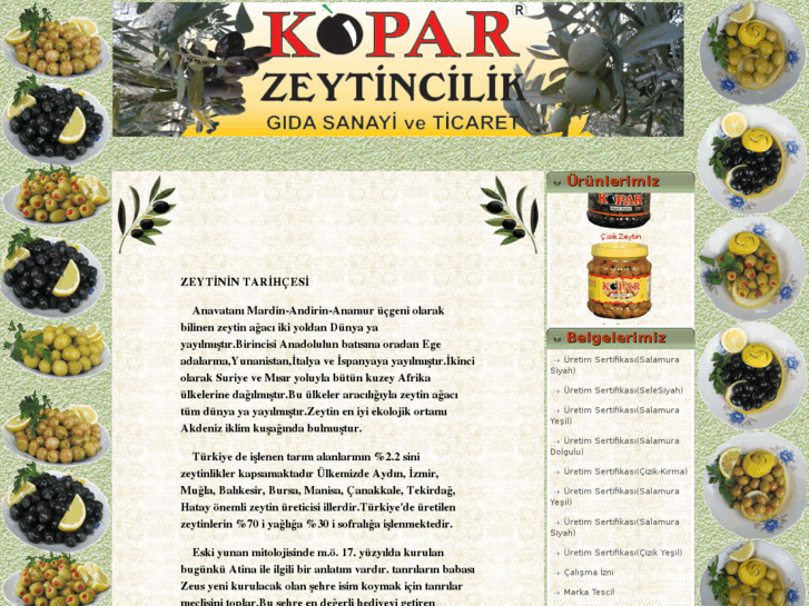 www.koparzeytincilik.com