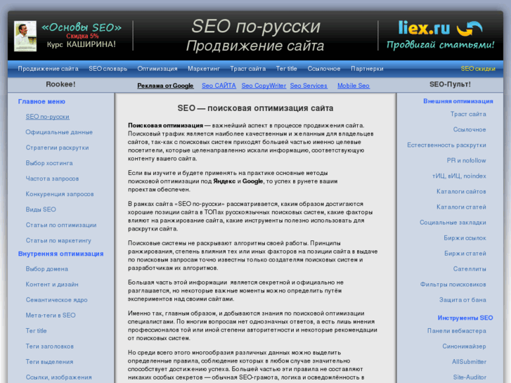 www.seo-in.ru