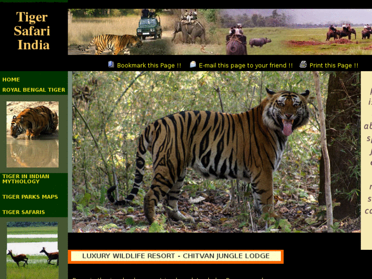 www.tigersafariindia.com