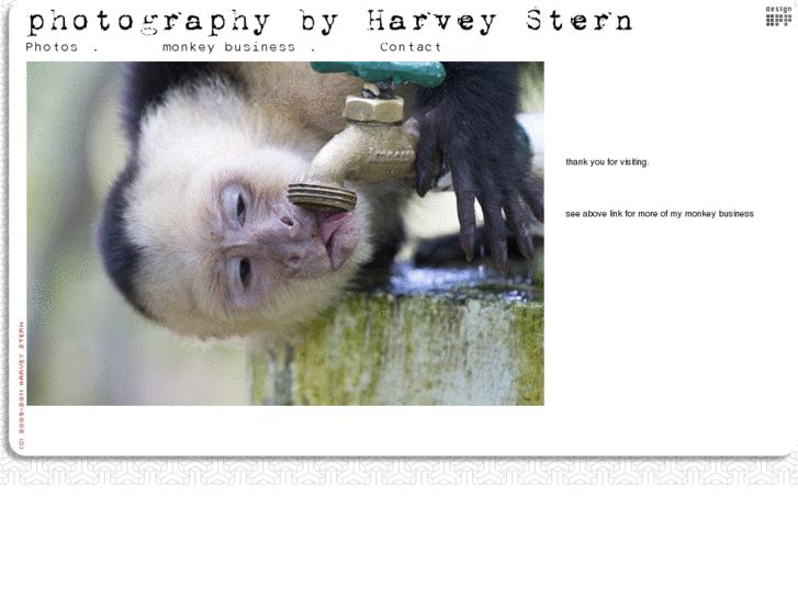 www.harveystern.com