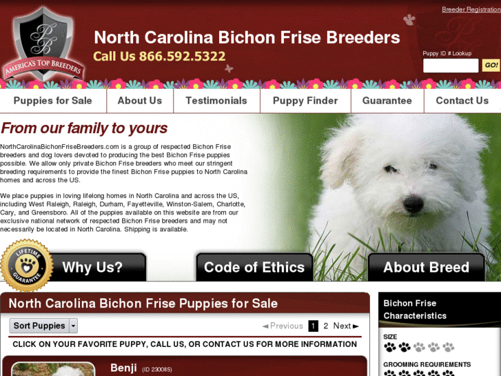 www.northcarolinabichonfrisebreeders.com