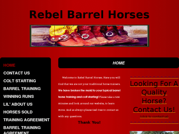 www.rebelbarrelhorses.com