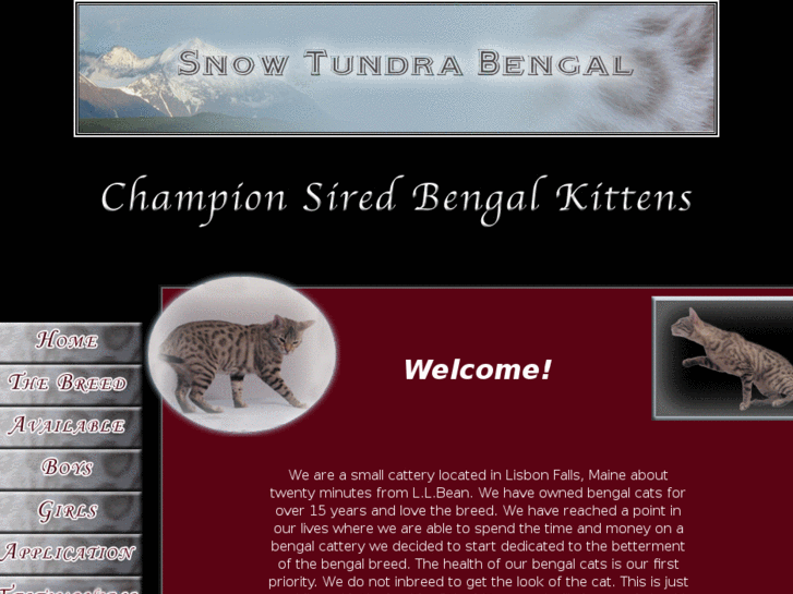 www.snowtundrabengal.com