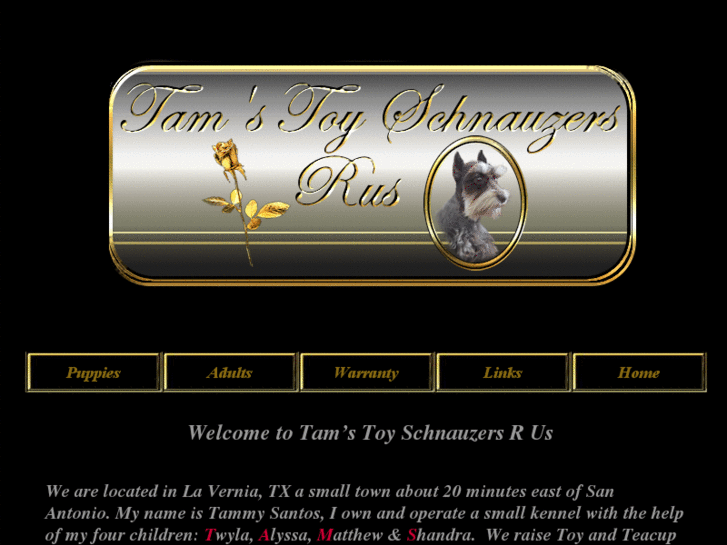 www.toyschnauzers-r-us.com