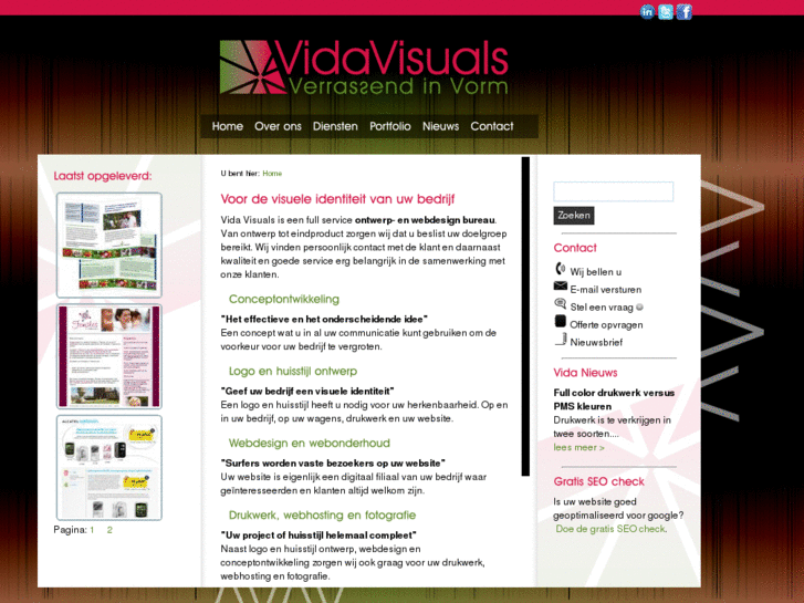 www.vidavisuals.com