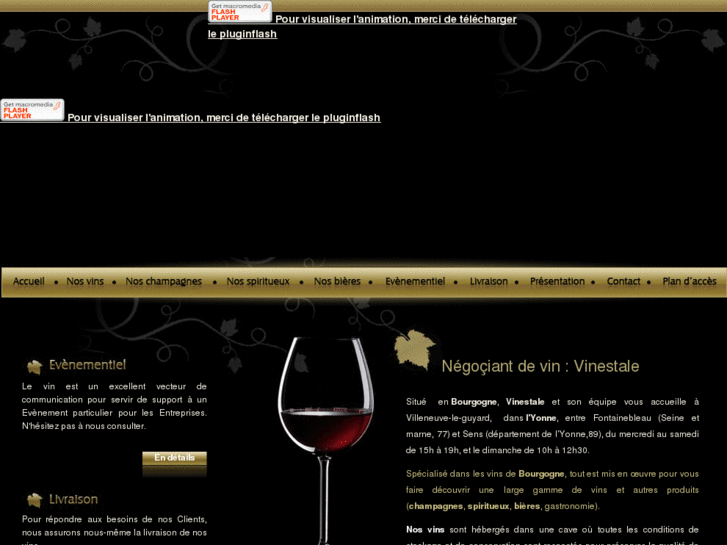 www.vins-champagnes-vinestale.com