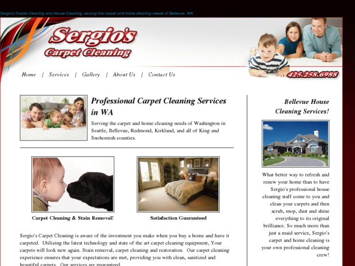 www.wacarpetcleaning.com