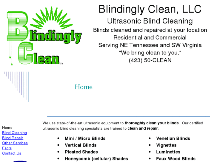 www.blindinglyclean.com