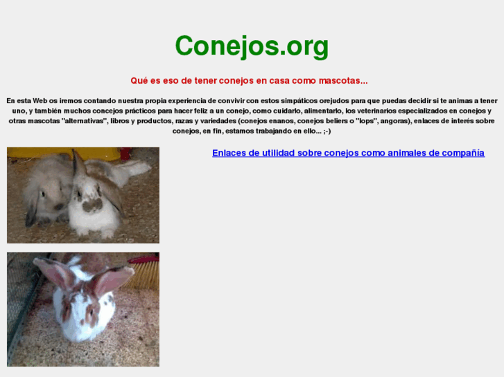 www.conejos.org