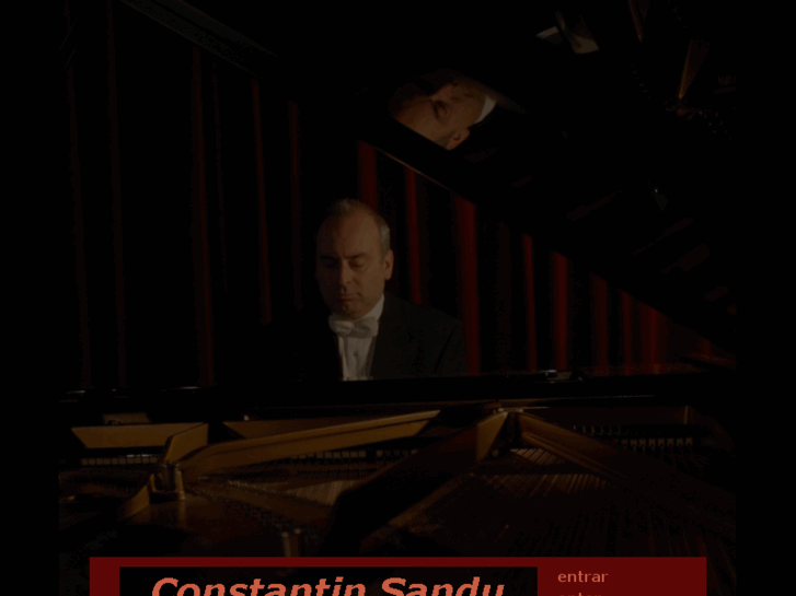 www.constantinsandu.com