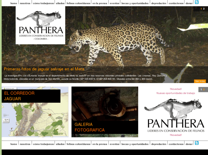 www.pantheracolombia.org