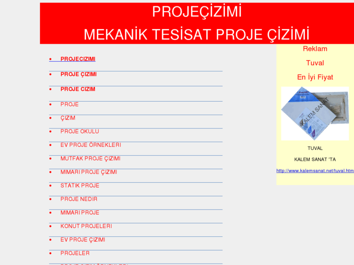 www.projecizimi.com