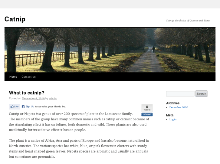 www.catnipz.com