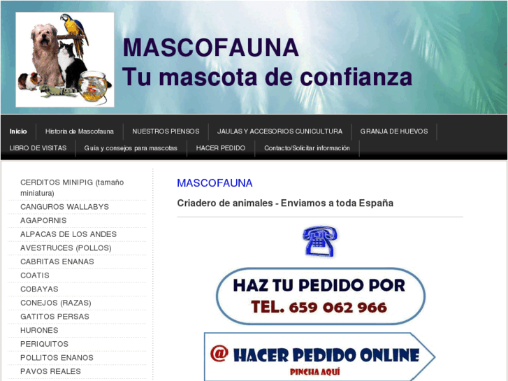 www.mascofauna.com