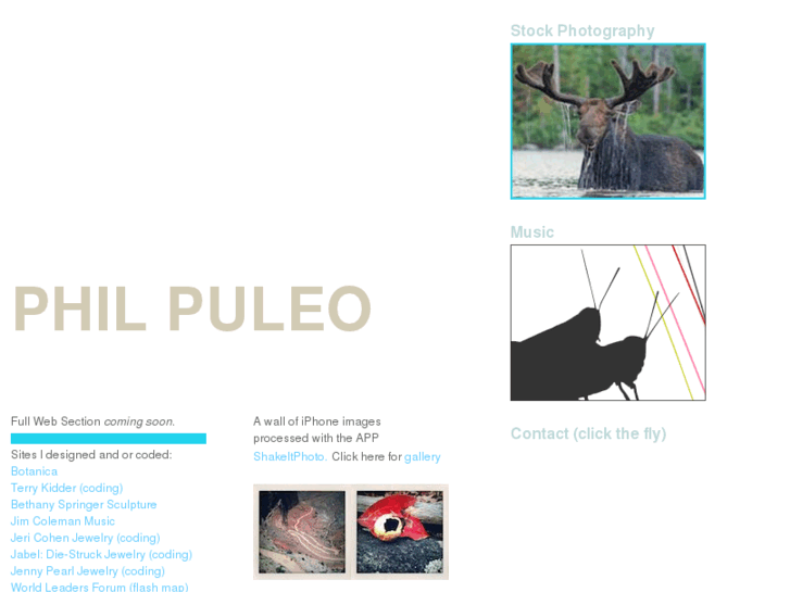 www.philpuleo.com