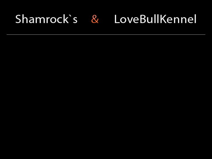 www.shamrocksandlovebullkennel.com