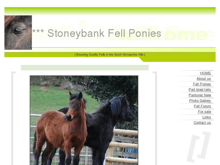 www.stoneybankfells.com