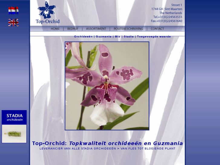 www.top-orchid.nl