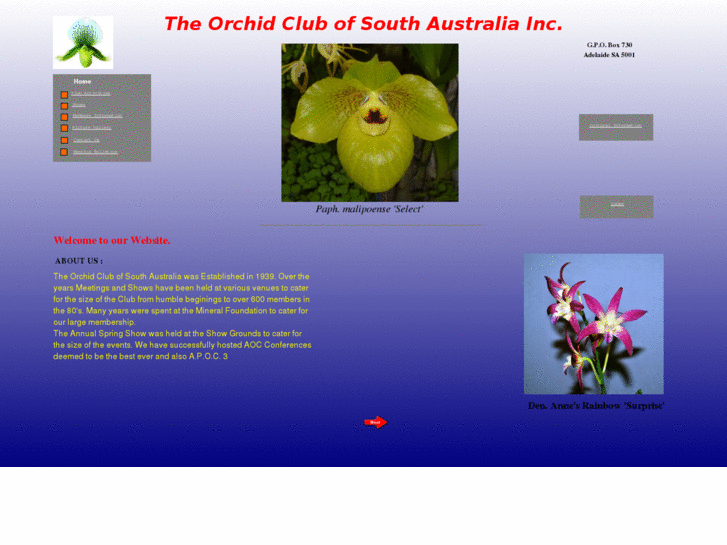 www.orchidclubofsouthaustraliainc.com