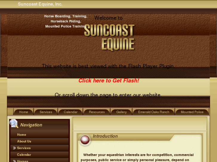 www.suncoastequine.com