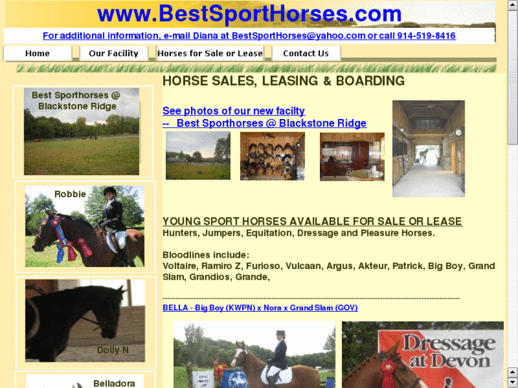 www.bestsporthorses.com