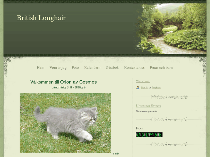 www.britishlonghair.com